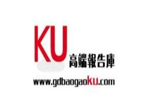 2017年中國互聯網專車行業服務模式與投資前景規劃研究報告